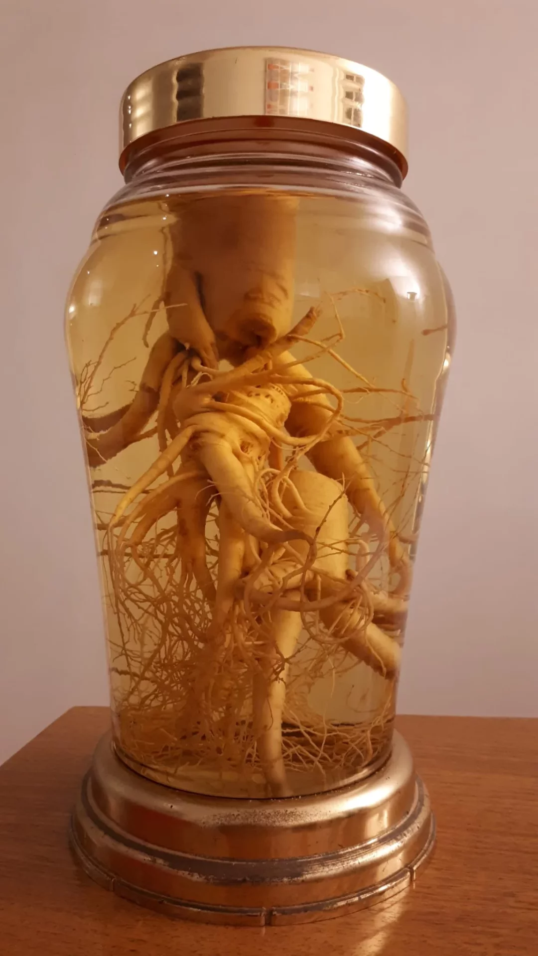 Racines de ginseng au Soju